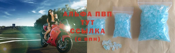 СК Гусев