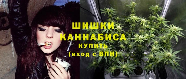 СК Гусев