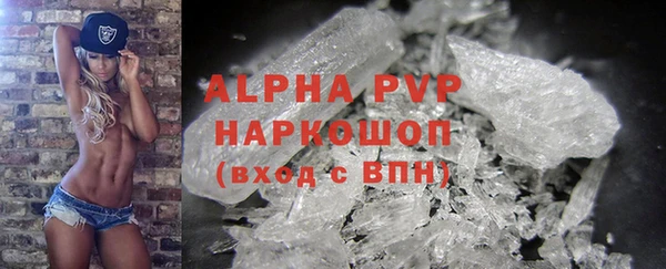 СК Гусев