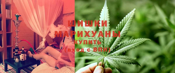 соль ск Гусь-Хрустальный