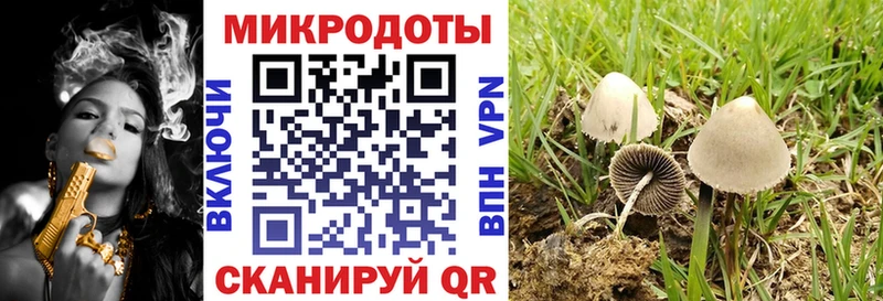 Псилоцибиновые грибы MAGIC MUSHROOMS Нововоронеж